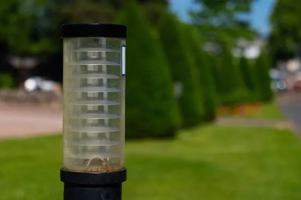 stock image Close-up of a lighting lantern in a green park. Focus on foreground.