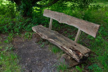 Yıpranmış ahşap bir bank çimenli bir düzlükte yapraklı bir ağacın altında oturuyor..