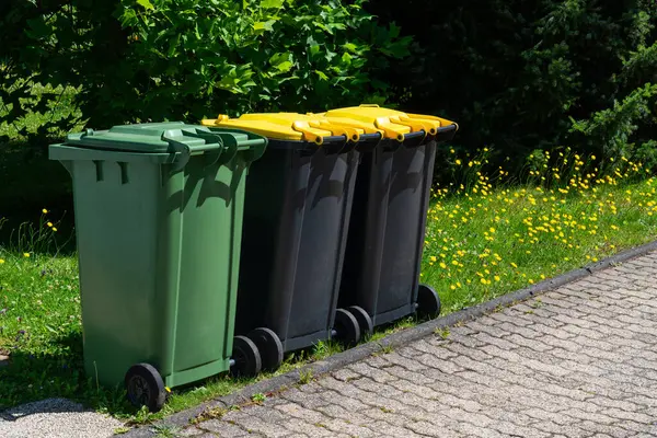 Üç geri dönüşüm kutusu, biri yeşil ve ikisi sarı, yeşil çimenli ve sarı çiçekli bir kaldırımda dizilmiş..