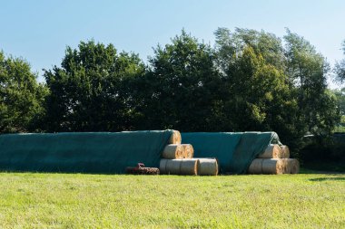 Canlı bir kırsal alanda, büyük saman ruloları temiz mavi gökyüzünün altında yemyeşil çimenler ve ağaçlarla çevrili yeşil muşambalarla düzgünce istiflenir ve kaplanır..
