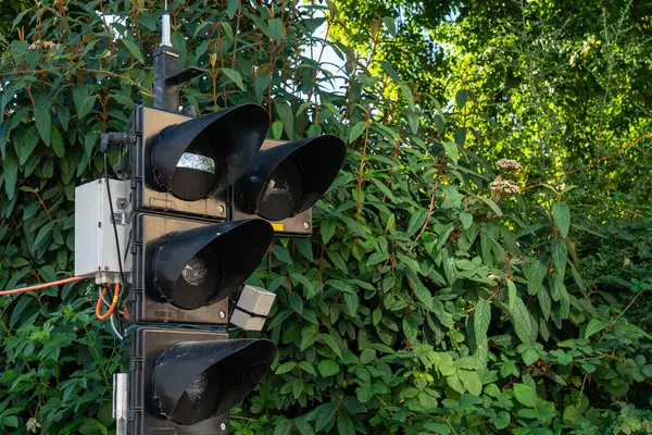 stock image Close-up of a traffic light system in front of dense green foliage, indicating traffic control in a natural setting.