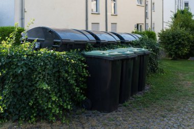 Çoklu atık kutuları kısmen kentsel alandaki yemyeşil sarmaşıklarla kaplıdır. Sahne, gündüz vakti doğa ve kentsel altyapının ilginç bir karışımını vurguluyor..