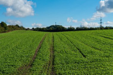 Yumuşak tepeler ve elektrik hatlarıyla çevrili canlı yeşil bir alan araziye yayılır. Açık gökyüzü tüylü beyaz bulutlarla kaplı, sakin bir atmosfer yaratıyor..