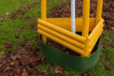 Sarı bir ağaç muhafızı, düşen yapraklarla kaplı çimlerin üzerinde dinlenen genç bir ağacı korur. Kurulum, bagajın etrafındaki alanı korurken büyümeyi destekler.