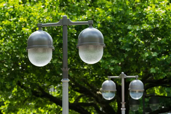 Parktaki yemyeşil ağaçların arasında zarif lamba direkleri duruyor. Yuvarlak cam kaplamalarla tasarlanmış aydınlatma armatürleri, gün boyunca çevredeki yaprakların doğal güzelliğini artırır..
