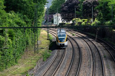 Parlak bir tren, yemyeşil ile çevrili raylar üzerinde hızla hareket eder. Bölgede iyi korunmuş raylar ve seyahat sahnesine canlı bir zemin sağlayan bir dizi ağaç bulunuyor..