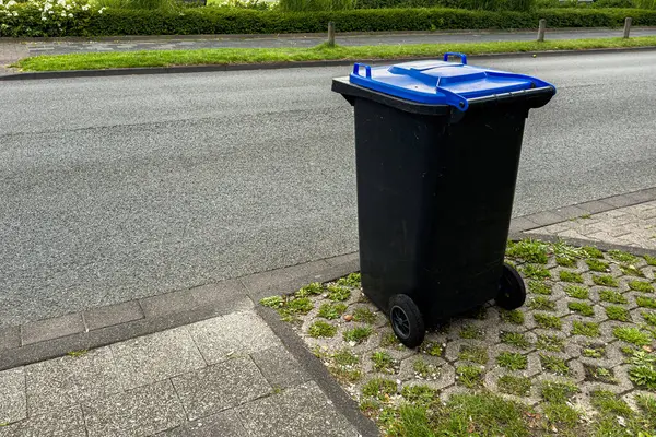Mavi kapaklı siyah bir çöp kutusu sessiz bir caddenin kaldırımının yanında duruyor. Yeşillik bölgeyi çevrelemiş, sakin bir banliyö atmosferi yaratmış, günlük aktiviteler için ideal..