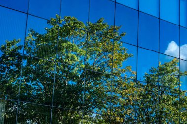 Bright blue sky and green trees are reflected in the sleek glass surface of a contemporary building. The scene captures nature blending with urban architecture on a sunny day.