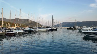 Karadağ 'ın Herceg Novi kentinde sakin ve berrak sularda sallanan çeşitli yat ve teknelerle dolu bir marina manzarası. Sahne, parlak bir gökyüzünün altında yuvarlanan yeşil dağların zeminine kurulur..