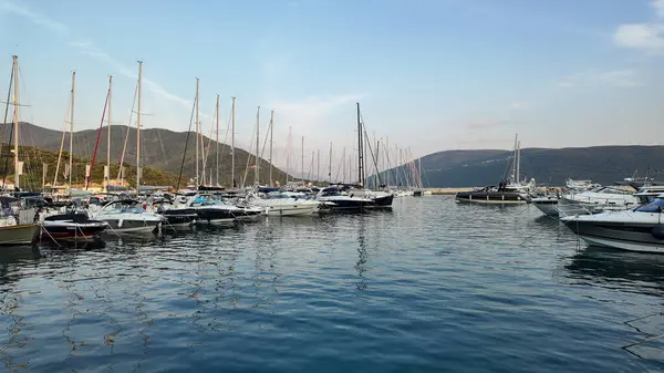 Karadağ 'ın Herceg Novi kentinde sakin ve berrak sularda sallanan çeşitli yat ve teknelerle dolu bir marina manzarası. Sahne, parlak bir gökyüzünün altında yuvarlanan yeşil dağların zeminine kurulur..
