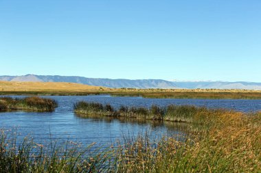 Sazlıklarla, su kuşlarıyla yüzen vahşi bir çayır bataklığı. 