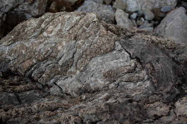 Pedras Pedras Mar Pedras Marinhas Textura Superfície Pedra Áspera — Fotografia de Stock