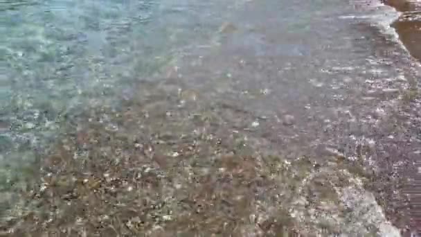 Soft Waves Krascha Stenstranden Clearwater Beach Närbild Inkommande Havsvågor Vid — Stockvideo