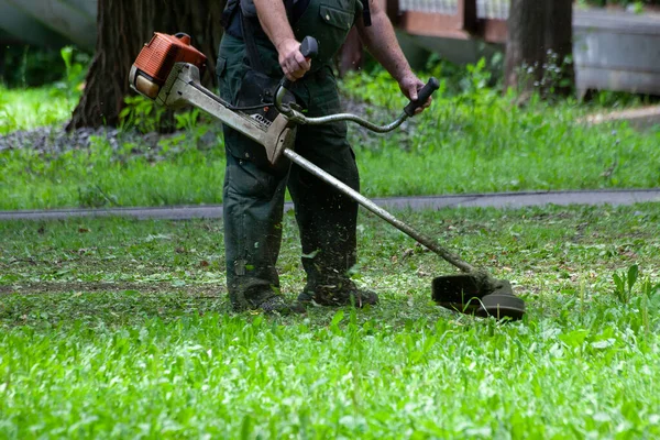 在城市公园或后院用汽油 草坪修剪器割草的工人 照料工具和设备的园艺 用割草机修剪草坪的工艺 图库照片