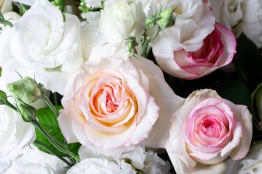 Rose flower bouquet close up. Background of white and pink roses