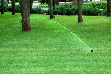 çim yağmurlama eylem. Bahçe yağmurlama çim sulama. otomatik sprinkler