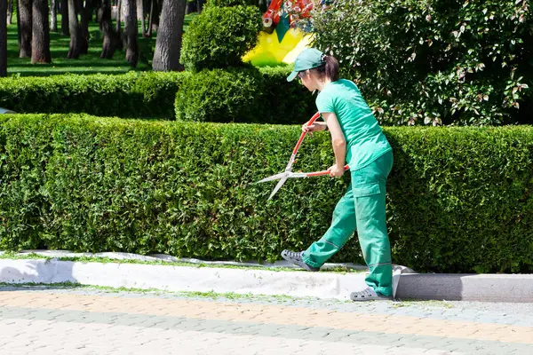 Yeşil üniformalı bir bahçıvan güneşli bir günde bahçe makası ile çitleri buduyor. Kharkiv, Ukrayna - 15 Mayıs 2024