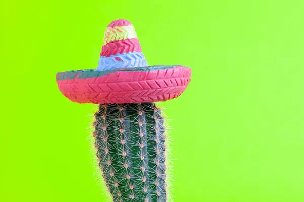 stock image Cactus with a colorful sombrero against a bright green background