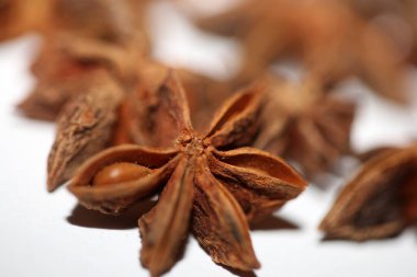 Brown fruit close up botanical background Illicium verum family schisandraceae star anise with seeds high quality big size prints