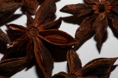 Brown fruit close up botanical background Illicium verum family schisandraceae star anise with seeds high quality big size prints