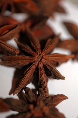 Brown fruit close up botanical background Illicium verum family schisandraceae star anise with seeds high quality big size prints