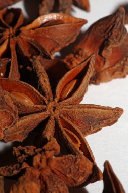 Brown fruit close up botanical background Illicium verum family schisandraceae star anise with seeds high quality big size prints