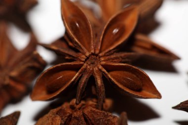 Brown fruit close up botanical background Illicium verum family schisandraceae star anise with seeds high quality big size prints