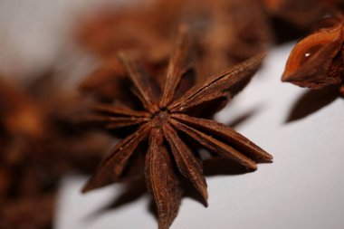 Brown fruit close up botanical background Illicium verum family schisandraceae star anise with seeds high quality big size prints
