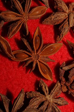 Brown fruit close up botanical background Illicium verum family schisandraceae star anise with seeds high quality big size prints