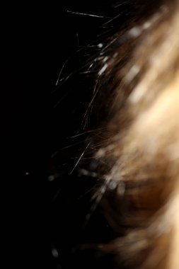 Artificial brown winter jacket hairs close up background stock photography high quality big size prints