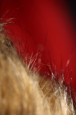 Artificial brown winter jacket hairs close up background stock photography high quality big size prints