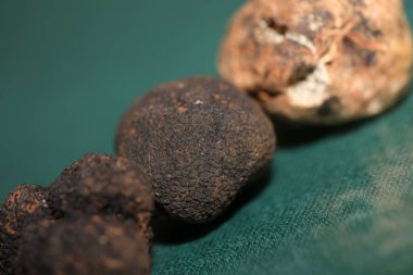 White and black truffles mushroom close up background botanical prints tuber magnatum aestivum family tuberaceae big size high quality pictures