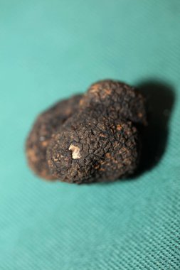 Black truffles mushrooms close up background tuber aestivum family tuberaceae high quality big size prints
