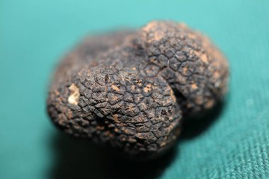 Black truffles mushrooms close up background tuber aestivum family tuberaceae high quality big size prints