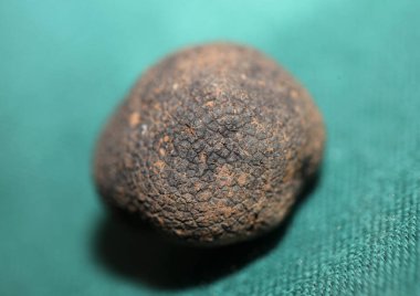 Black truffles mushrooms close up background tuber aestivum family tuberaceae high quality big size prints