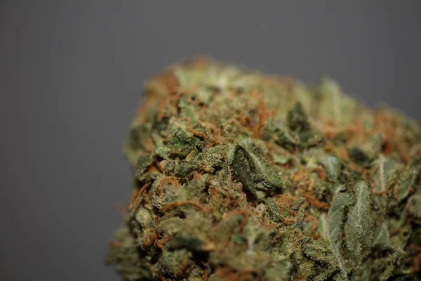 Medyczne Marihuana Kwiat Super Pąki Rekreacyjne Ganja Zbliżyć Botaniczne Zdjęcie — Zdjęcie stockowe