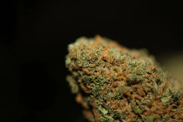 Flor Marihuana Medicinal Con Receta Lona Negra Marihuana Brote Hierba — Foto de Stock