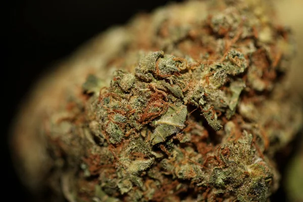 Prescription Medical Marijuana Flower Black Canvas Cannabis Bud Weed Strain — Stock Photo, Image