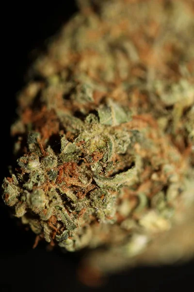 Orvosi Marihuána Virág Fekete Vászon Cannabis Bud Törzs Szuper Citrom — Stock Fotó