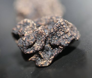 Vahşi, taze kış mantarları arka planı kapatır. Büyük boy tüp hazır baskılar botanik stok fotoğrafçılığı.