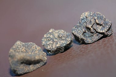 Vahşi, taze kış mantarları arka planı kapatır. Büyük boy tüp hazır baskılar botanik stok fotoğrafçılığı.