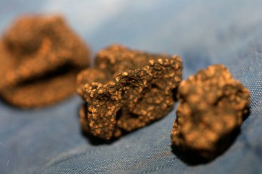 Vahşi, taze kış mantarları arka planı kapatır. Büyük boy tüp hazır baskılar botanik stok fotoğrafçılığı.