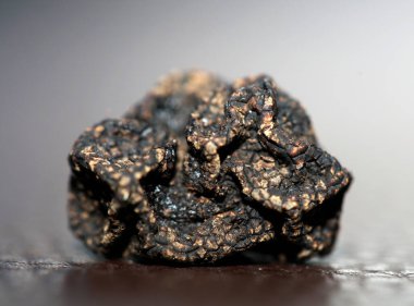 Vahşi, taze kış mantarları arka planı kapatır. Büyük boy tüp hazır baskılar botanik stok fotoğrafçılığı.