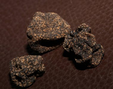 Vahşi, taze kış mantarları arka planı kapatır. Büyük boy tüp hazır baskılar botanik stok fotoğrafçılığı.