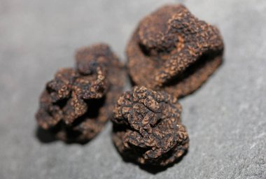 Vahşi, taze kış mantarları arka planı kapatır. Büyük boy tüp hazır baskılar botanik stok fotoğrafçılığı.