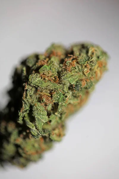 Medicinsk Marijuana Blomma Närbild Cannabis Knopp Ogräs Ren Farmaceutisk Knark — Stockfoto