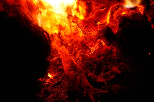 Φωτιά Φλόγες Και Καπνός Από Μεγάλους Κορμούς Κλείστε Σχάρα Φόντο — Φωτογραφία Αρχείου