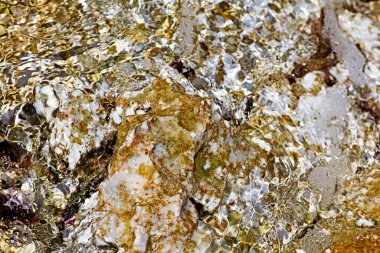 Deniz taşları doğayı kapatır. Yüksek kaliteli metal baskılar. Yaz mevsiminde Creta Adası 'ndaki plaj yerlerini keşfederler.