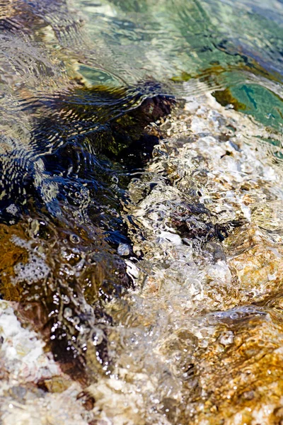 Morze Skały Zamknąć Charakter Tło Wysokiej Jakości Metalowe Druki Lato — Zdjęcie stockowe