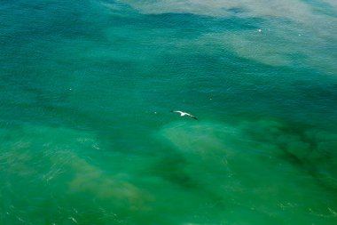 Dalgalar makro yaz soyut elli megapiksel hiçbir düzenleme Modern doku arka plan dijital güzel grafik soyut sanat pürüzsüz renkli tasarım